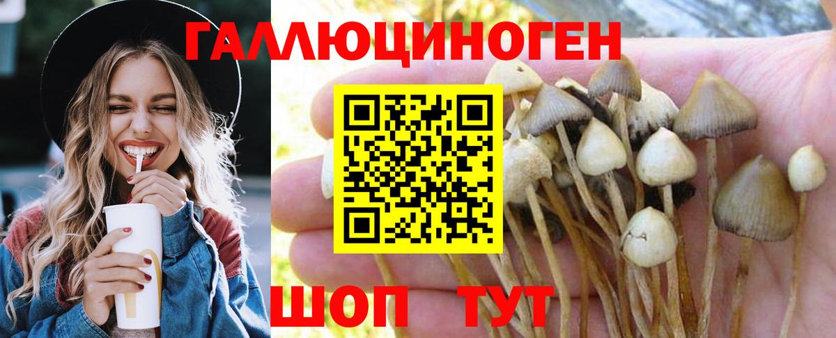Псилоцибиновые грибы MAGIC MUSHROOMS  Вход с VPN  Красноармейск 